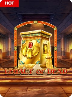 Robocat Casino Spieler